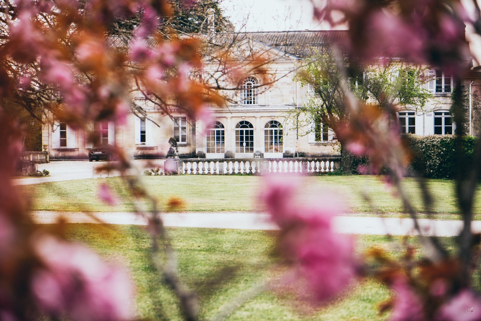 20190401_MIKA_BOUDOT_3777