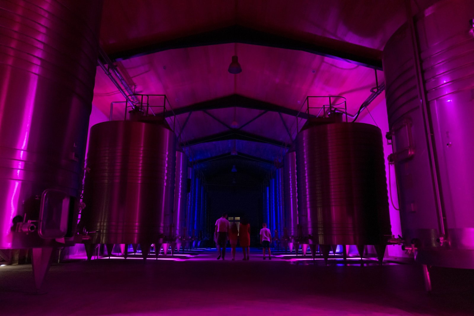 CHATEAU_LAMOTHE_BERGERON_Low©Claude Clin-1130150