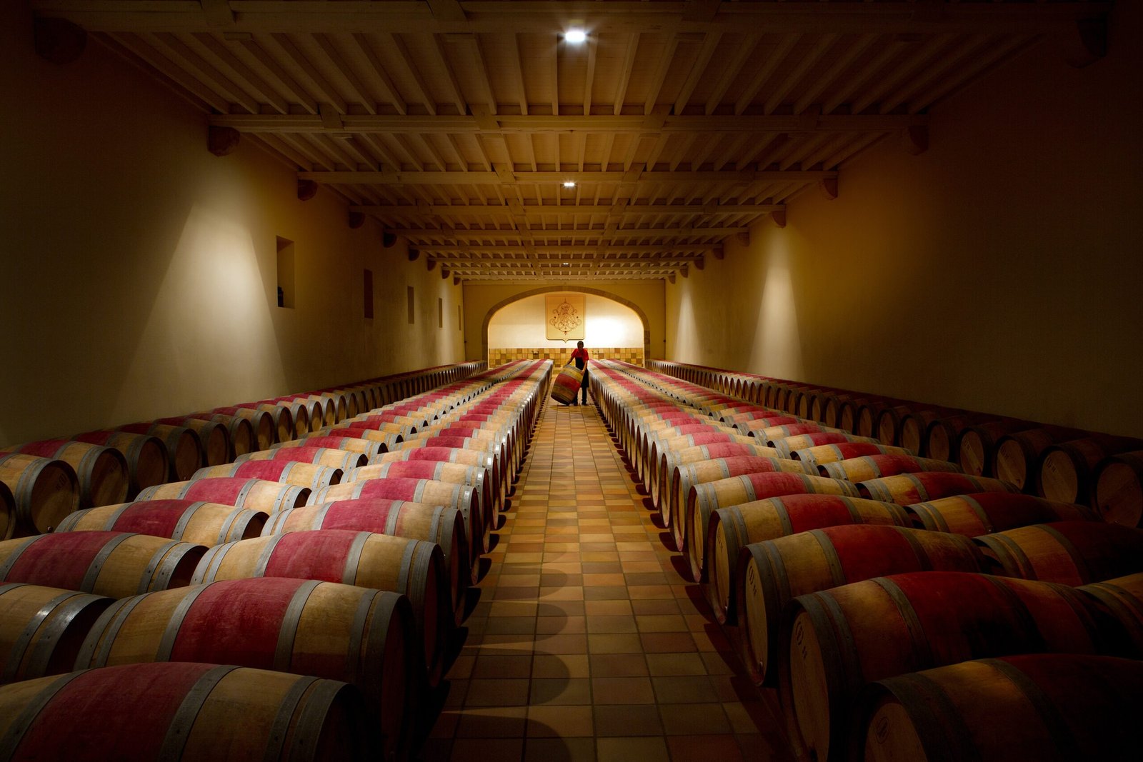 Chateau Phélan Ségur – Chai à barriques