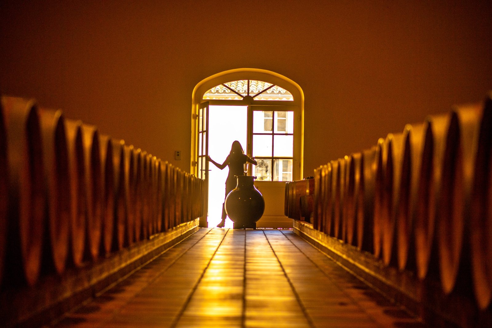 Château Phélan Ségur _ Portes ouvertes sur le chai