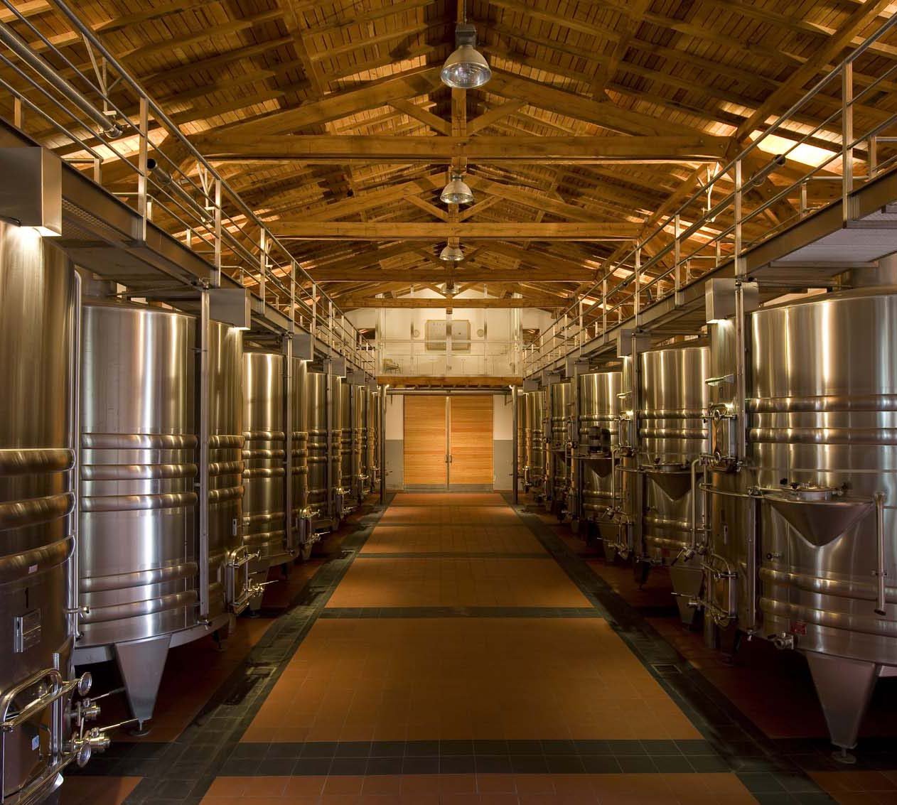 Cos Labory – Cuvier (1)