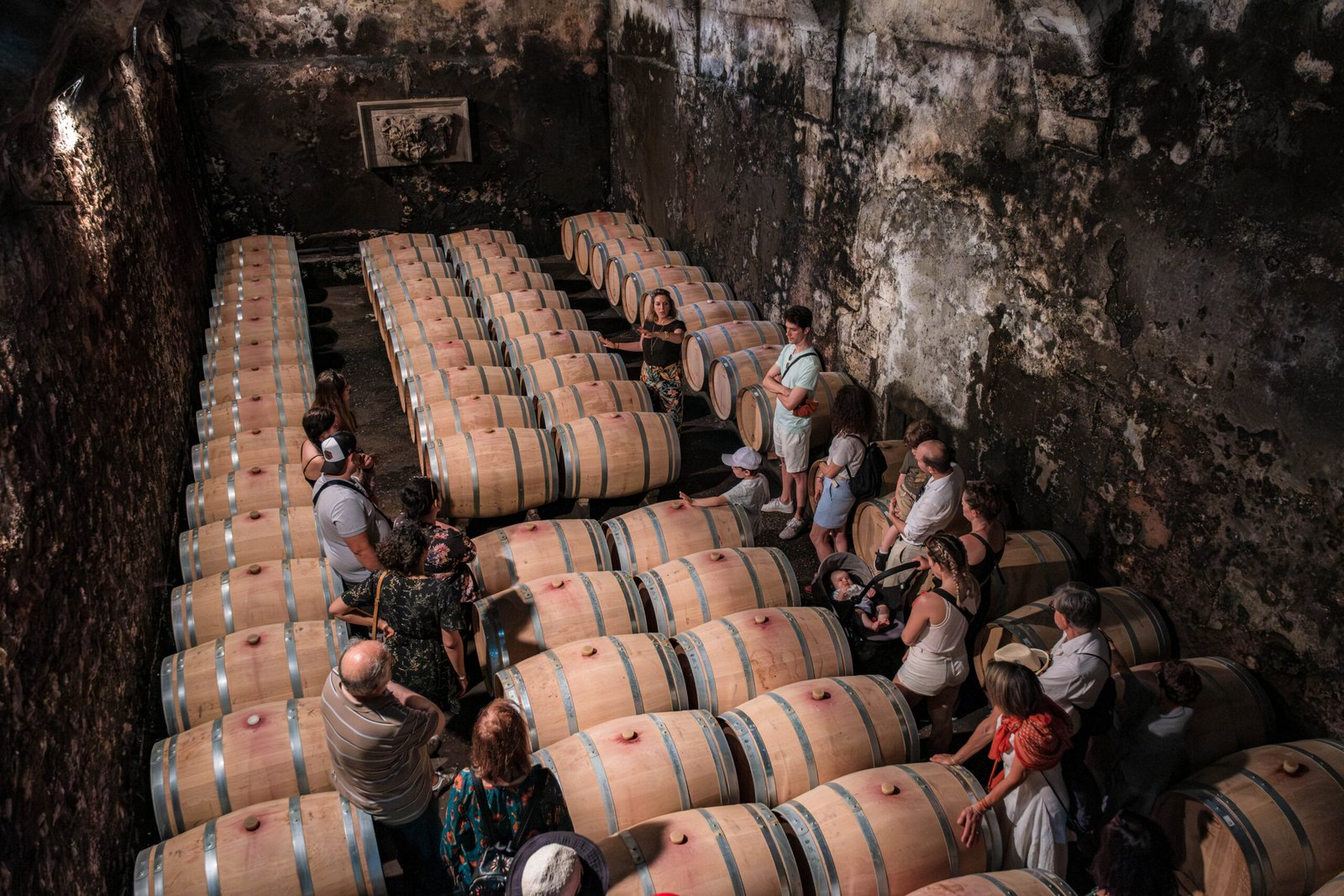 DSCF9379-Avec accentuation-Bruit