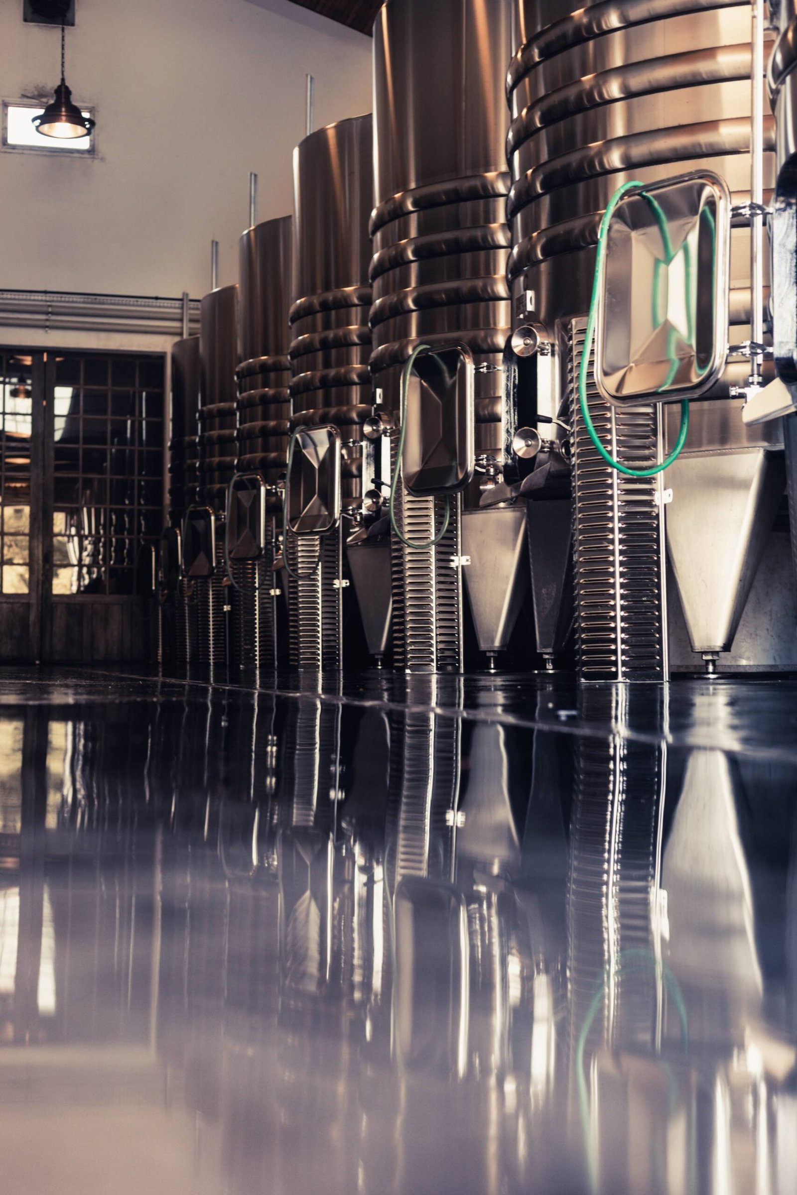 Greg Bronard ormes sorbet 05