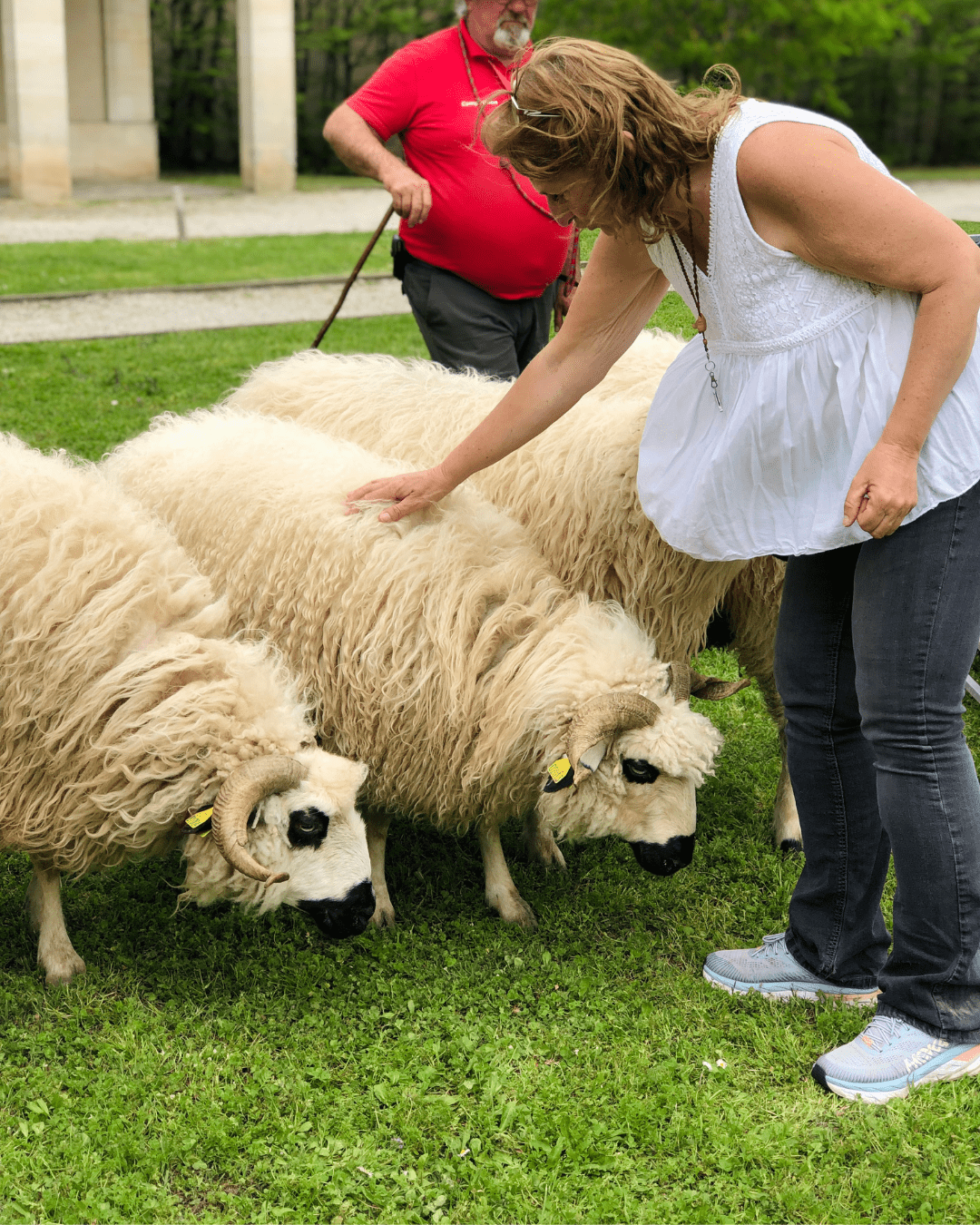 INSTAGRAM -nouveau format – 2026-02-06T113541.541