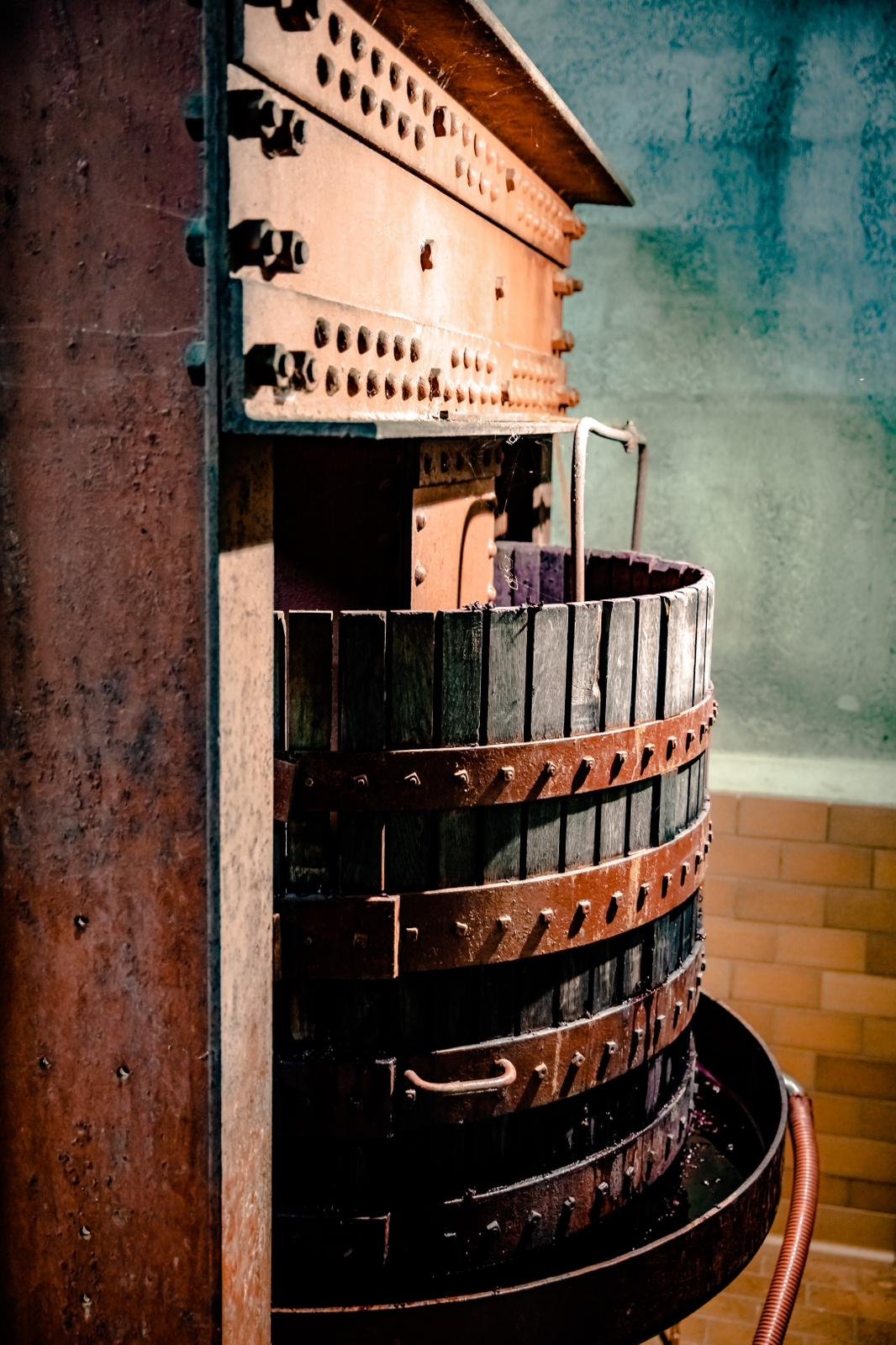 PHOTO-2023-10-11-18-07-25