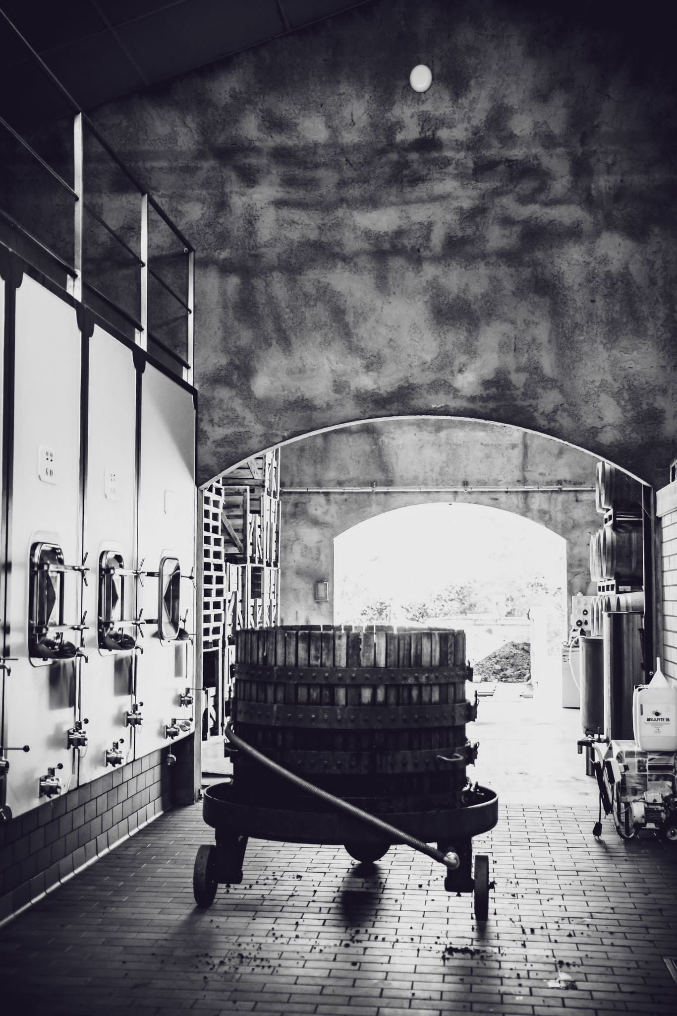 PHOTO-2023-10-11-18-08-59 2