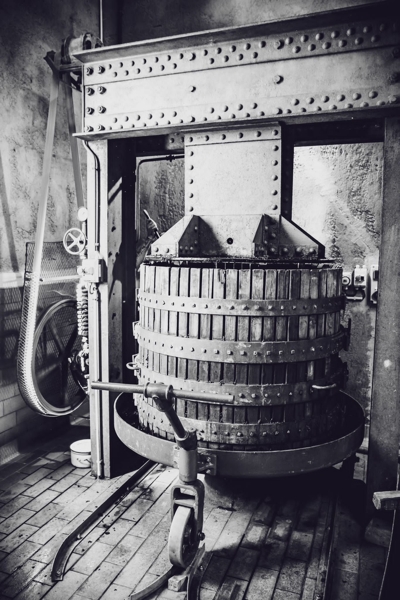 PHOTO-2023-10-11-18-09-01 2