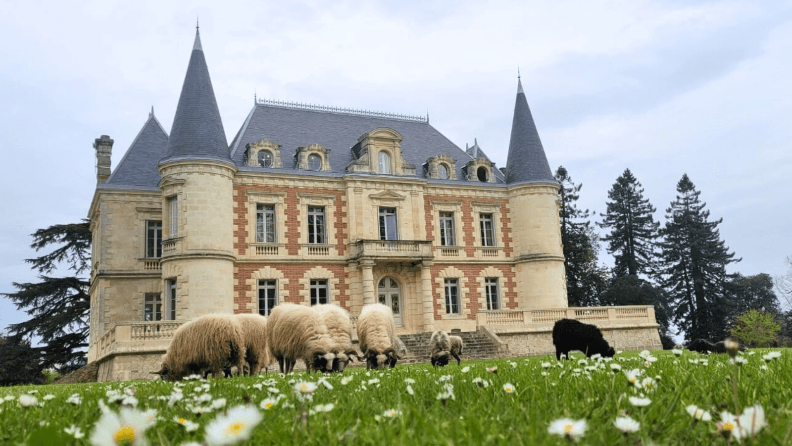 POST FB & LINKEDIN (27)