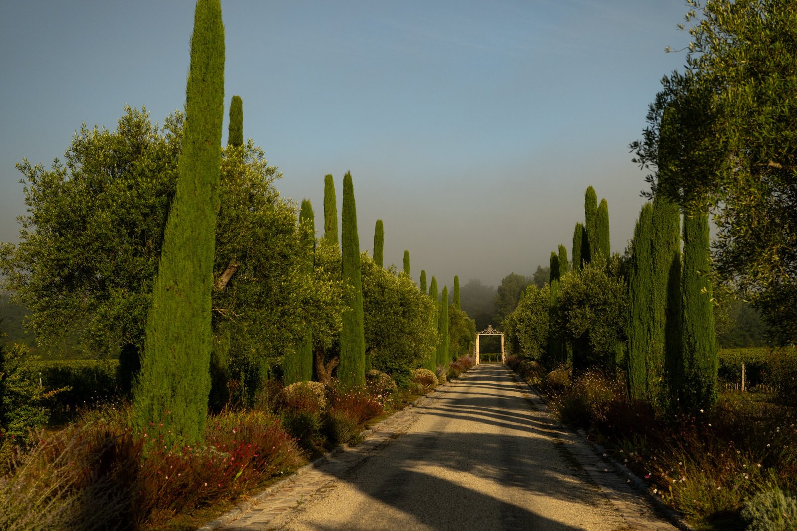 livre chateau clarke balanca erwan (10)