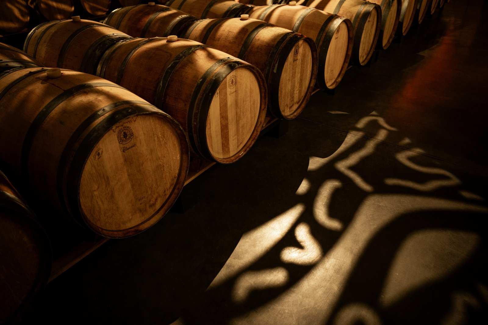 livre chateau clarke balanca erwan (28)