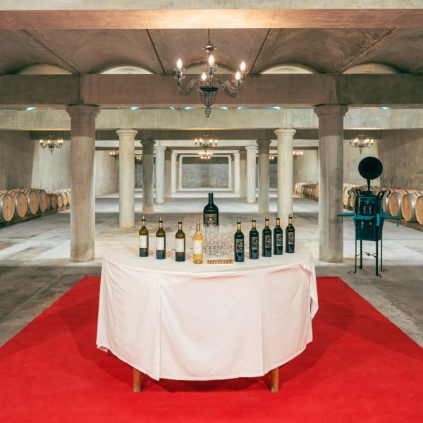 2023-07-01 loudenne-gouache-106 (1)