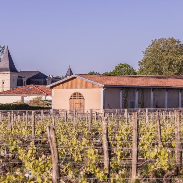 Chateau Senejac 2024.05 Exterieurs-84