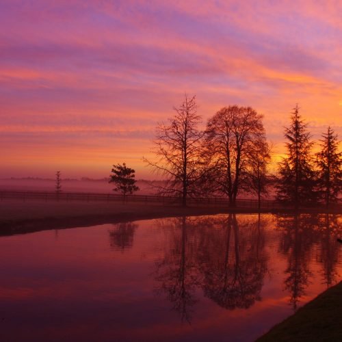 Mauvesin Barton Sunrise ©Melanie Sartorius